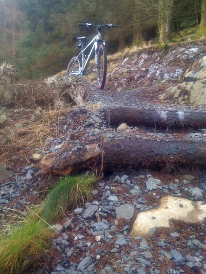 Silver Ridge, 2 House O' Hill Newton Stewart Esterno foto